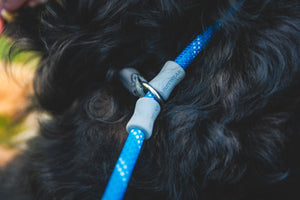 Just-a-Cinch lead - five colours