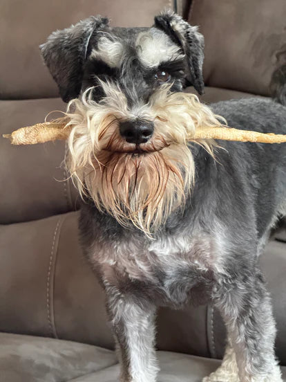 Seabass Straws - JR Pet
