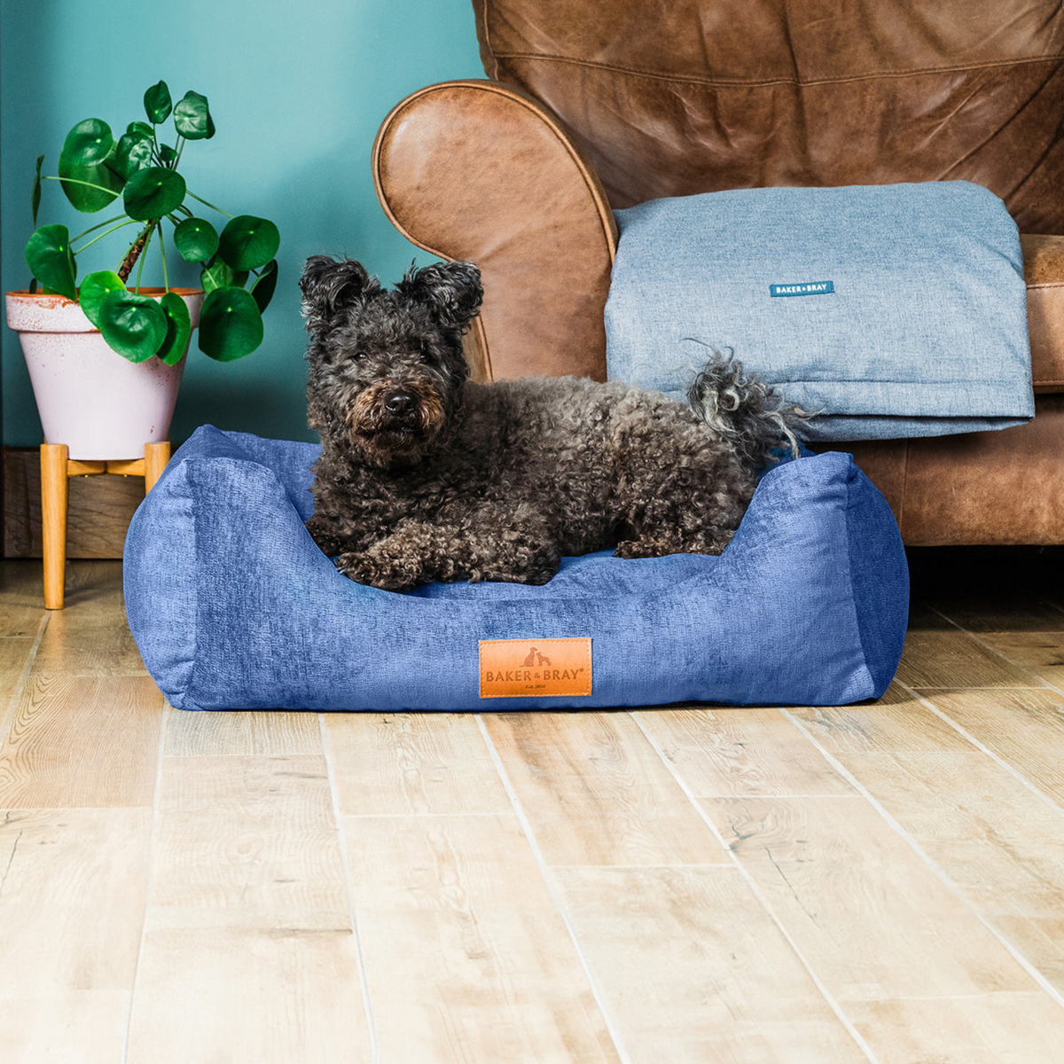 The Ultimate - Eco Friendly Orthopaedic Luxury Dog Bed, Regal Blue