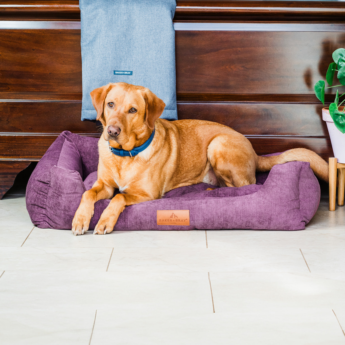 The Ultimate - Eco Friendly Orthopaedic Luxury Dog Bed, Rhubarb Red