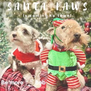 Santa Paws Grotto - SATURDAY BOOKINGS