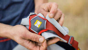 Ruffwear Swamp Cooler Core Harness & Pack Add-On