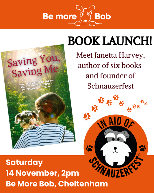 Promotional flyer for a book launch featuring the book cover of 'Saving You, Saving Me' by Janetta Harvey. The flyer has an orange background with white and dark red text, including event details: Saturday 14 November, 2pm, Be More Bob, Cheltenham.
