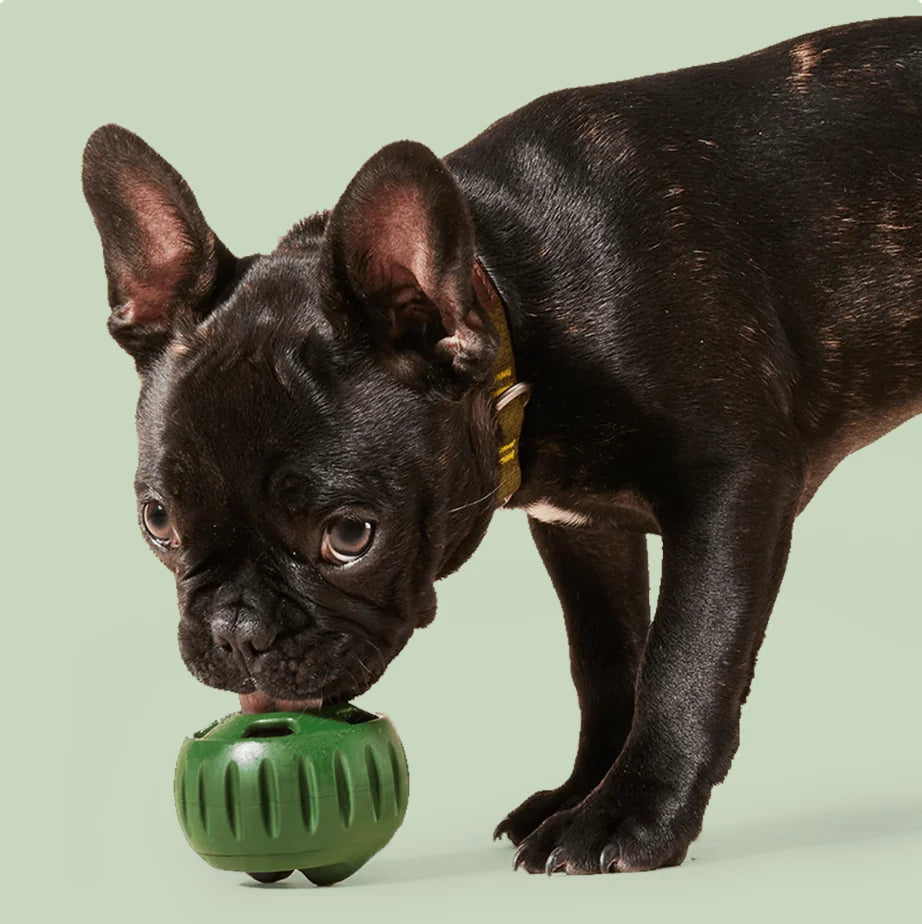 Woof Green Pupsicle | Enrichment Toy | Puzzle Toy | Boredom Buster