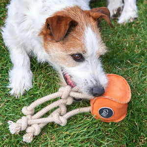 Green & Wilds Sid The Squid eco dog toy