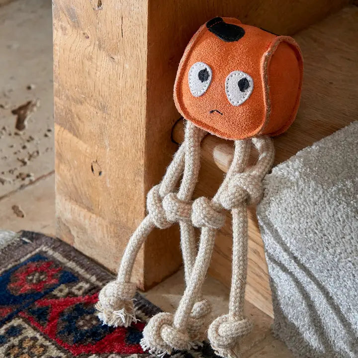 Sid The Squid eco dog toy, Green & Wilds