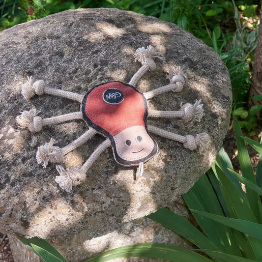 Spike Spider Eco dog toy, Green & Wilds