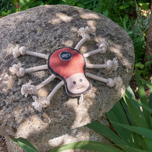 Load image into Gallery viewer, Green &amp; Wilds Spike Spider Eco dog toy