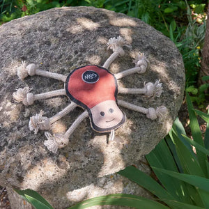 Green & Wilds Spike Spider Eco dog toy