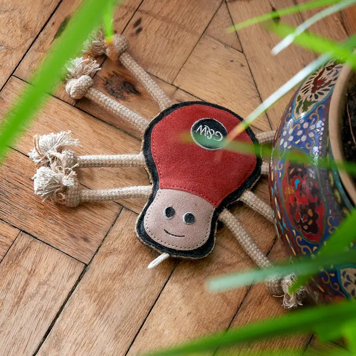 Spike Spider Eco dog toy, Green & Wilds