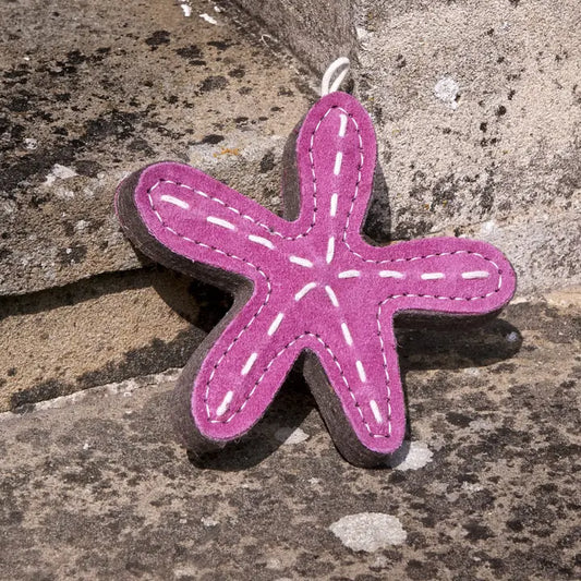 Stanley the Starfish, Eco Toy, Green & Wilds