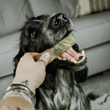 Load image into Gallery viewer, Fish Skin Throw Sticks