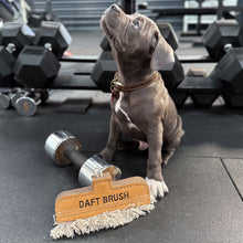 Load image into Gallery viewer, Daft Brush, Eco Dog Toy