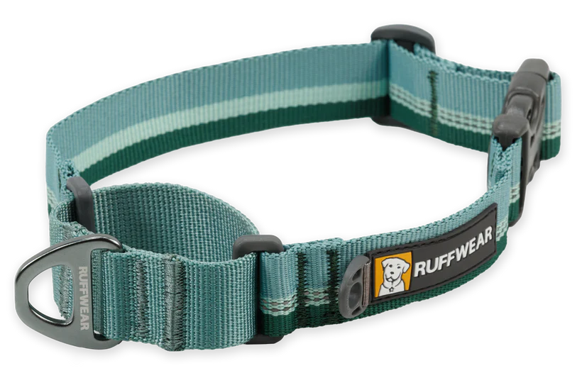 Ruffwear Web Reaction Martingale Dog Collar With Buckle