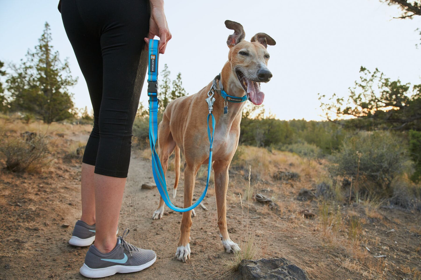 Ruffwear Web Reaction Martingale Dog Collar With Buckle