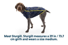 Load image into Gallery viewer, Ruffwear Climate Changer Dog Fleece