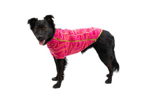 Load image into Gallery viewer, Ruffwear Climate Changer Dog Fleece