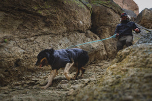 Ruffwear Climate Changer Fleece Jacket