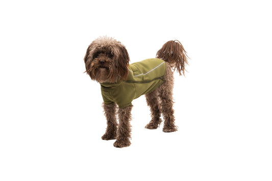 Ruffwear climate changer fleece jacket on a small poodle