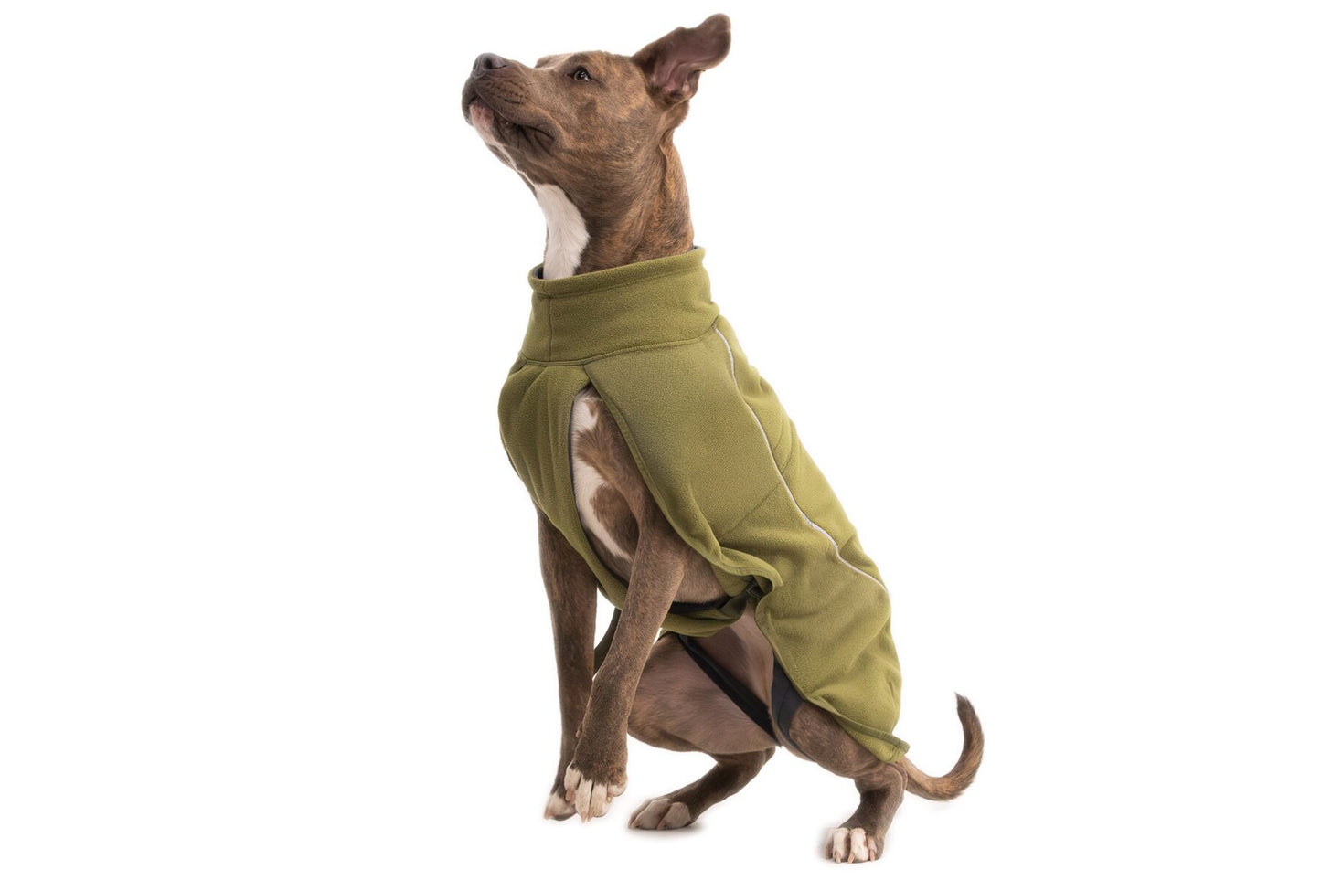 Ruffwear climate changer fleece in green on a medium sized staffy type dog
