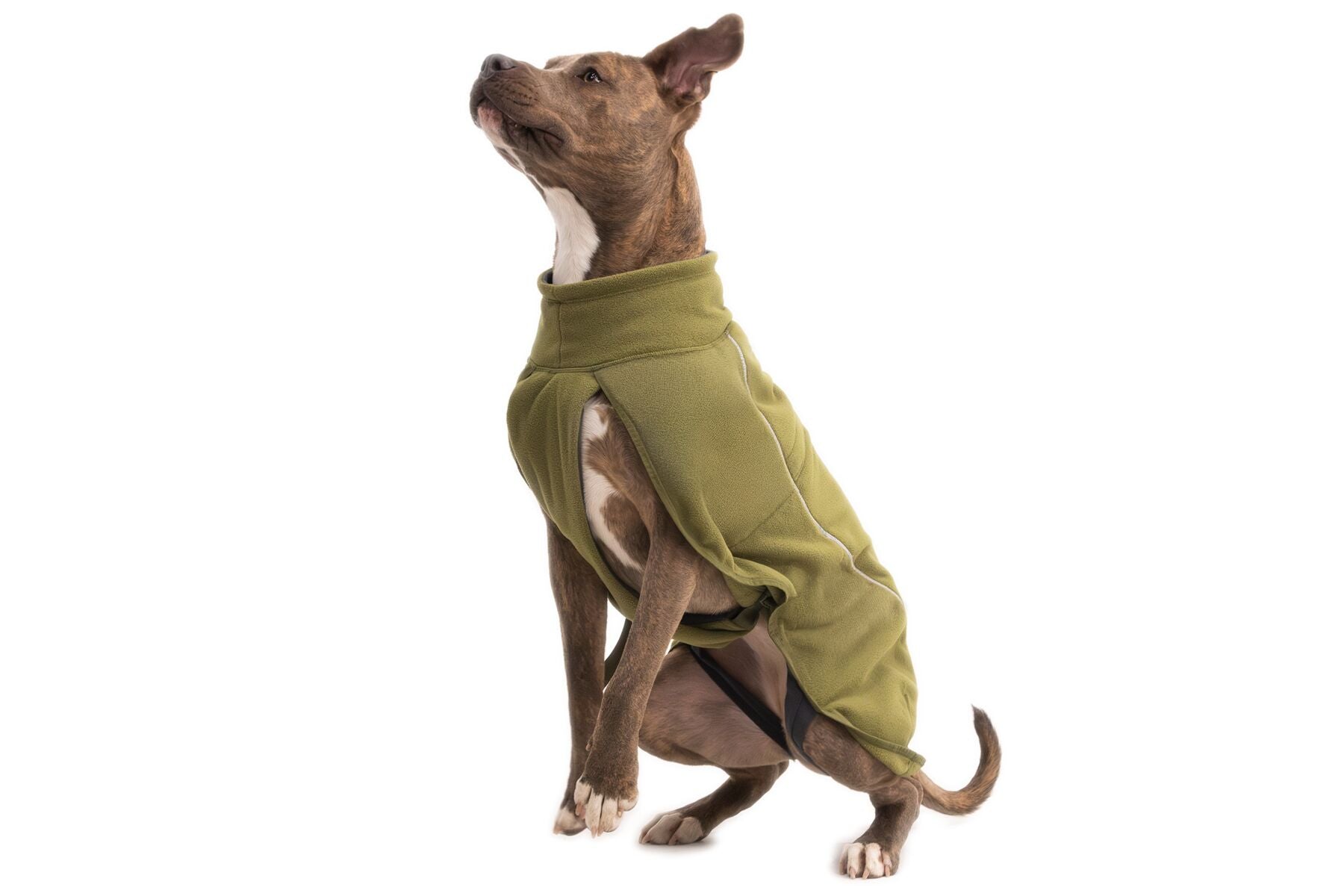 Ruffwear climate changer fleece in green on a medium sized staffy type dog