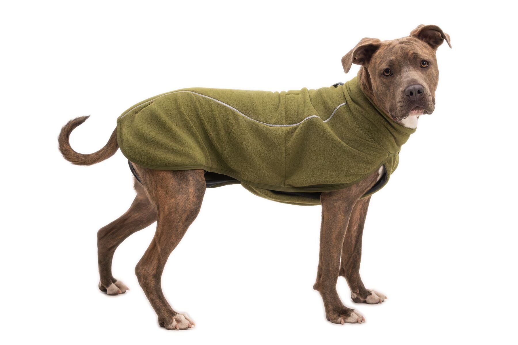 Ruffwear climate changer fleece in green on a medium sized dog