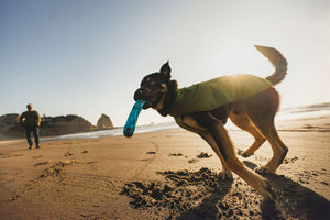 Ruffwear Climate Changer Fleece Vest