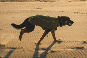 Ruffwear Climate Changer Fleece Vest