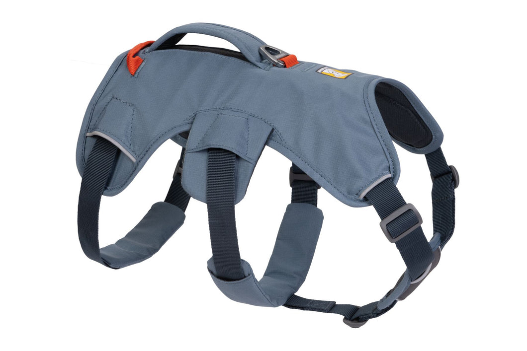 Ruffwear Web Master dog harness with handle (over the head)