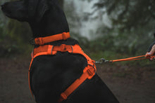 Load image into Gallery viewer, Ruffwear Front Range Blaze Orange Bundle