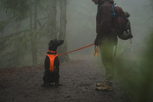 Ruffwear Front Range Blaze Orange Bundle