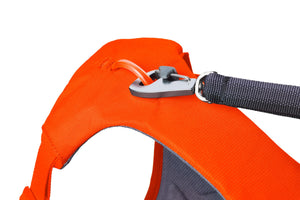 Ruffwear Front Range Blaze Orange Bundle