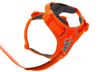 Load image into Gallery viewer, Ruffwear Front Range Blaze Orange Bundle
