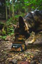 Load image into Gallery viewer, Ruffwear Quencher packable food and water bowl