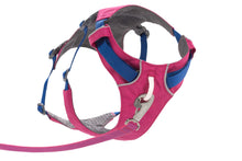 Load image into Gallery viewer, Ruffwear Flagline Harness - five colours, two new for 2024
