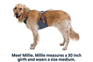 Ruffwear Load Up Dog Car Harness