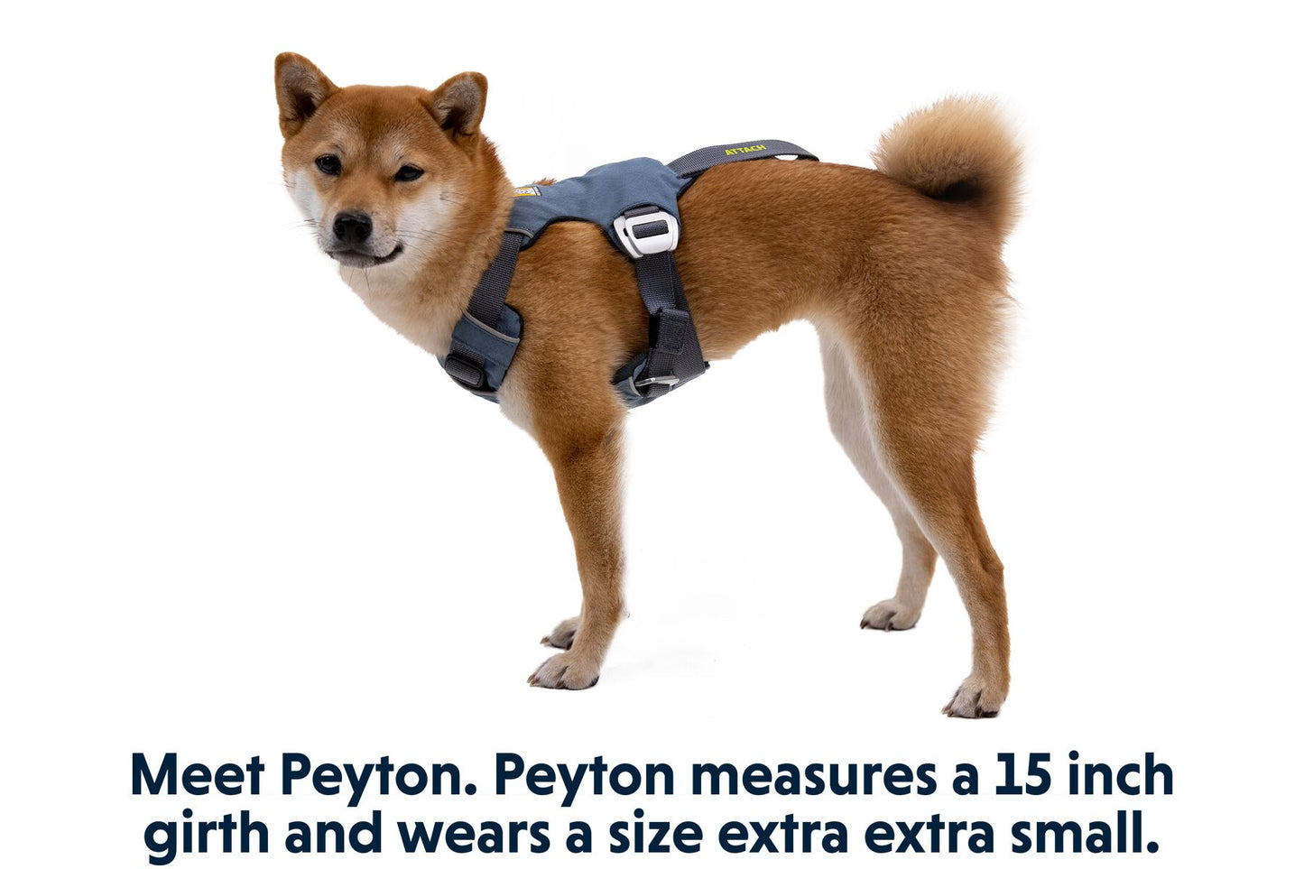 Ruffwear Load Up Dog Car Harness