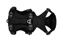 Load image into Gallery viewer, Ruffwear Ridgeline Harness