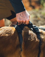 Load image into Gallery viewer, Ruffwear Ridgeline Harness