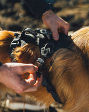 Load image into Gallery viewer, Ruffwear Ridgeline Harness