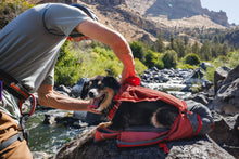 Load image into Gallery viewer, Ruffwear - Hitch Hiker Dog Carrier