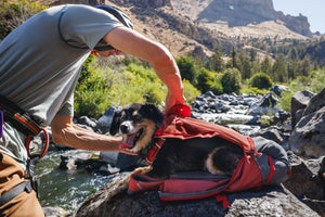 Ruffwear - Hitch Hiker Dog Carrier