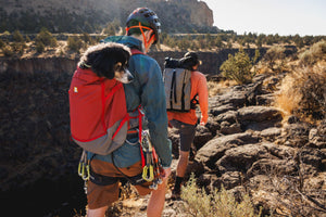 Ruffwear - Hitch Hiker Dog Carrier