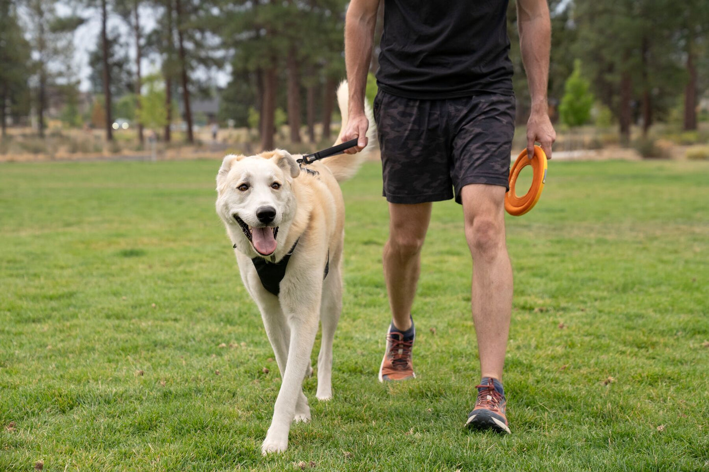 Ruffwear Front Range Lead - Short - new for 2024