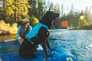 Ruffwear - Confluence Life Jacket