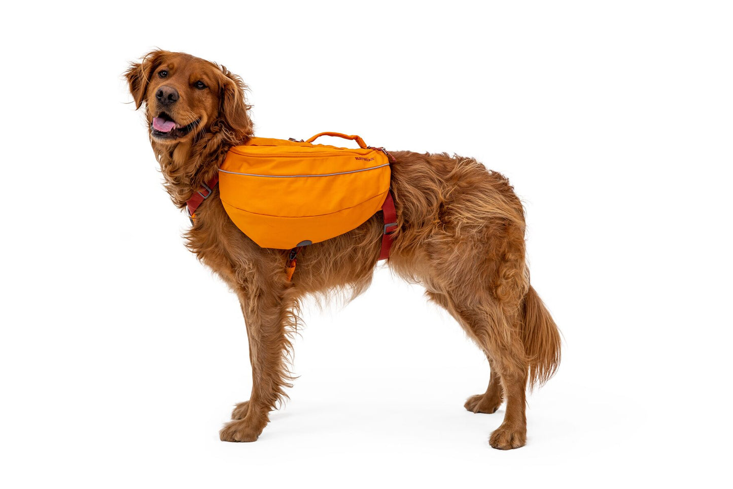 Ruffwear Approach Dog Backpack