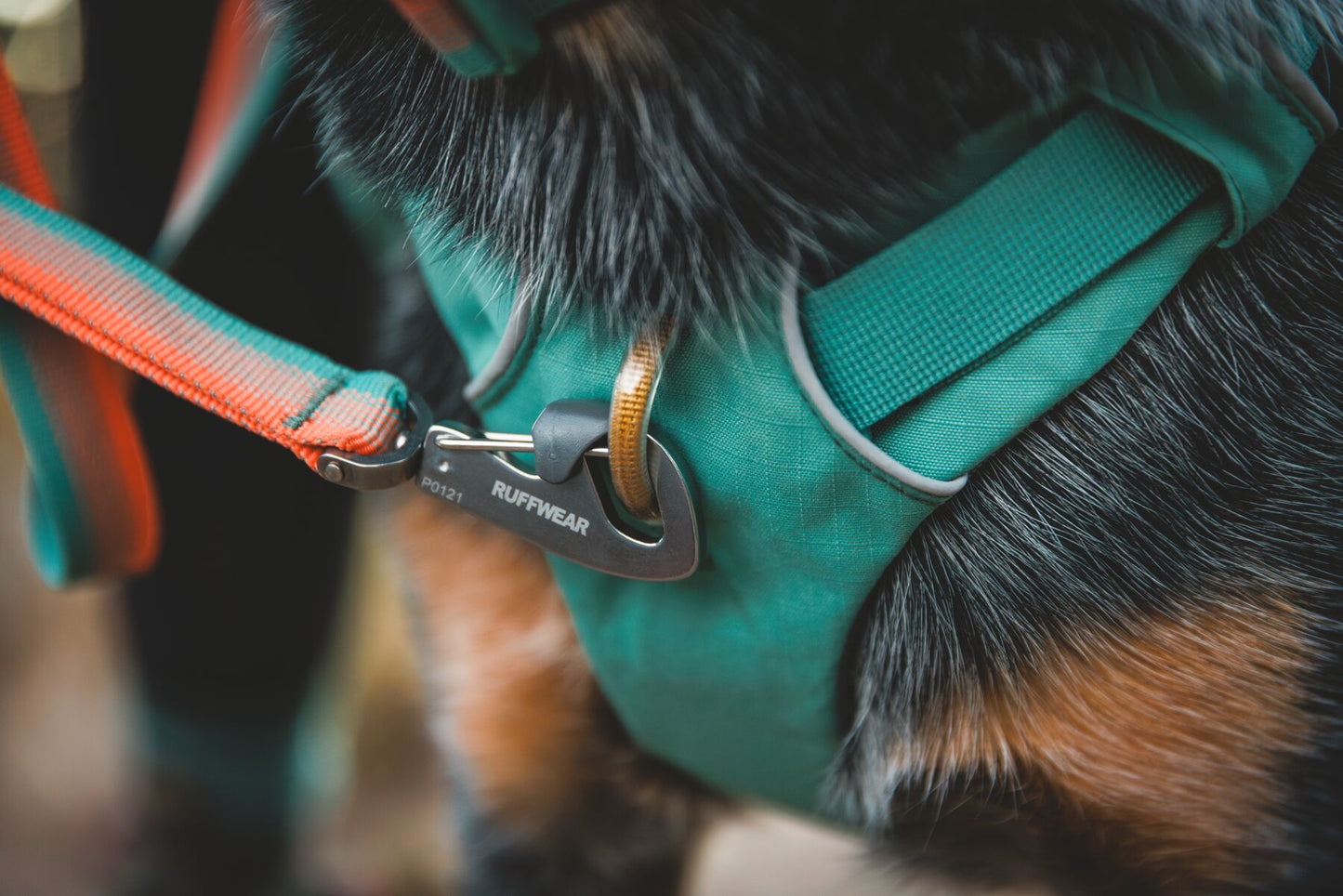 Ruffwear Front Range Lead