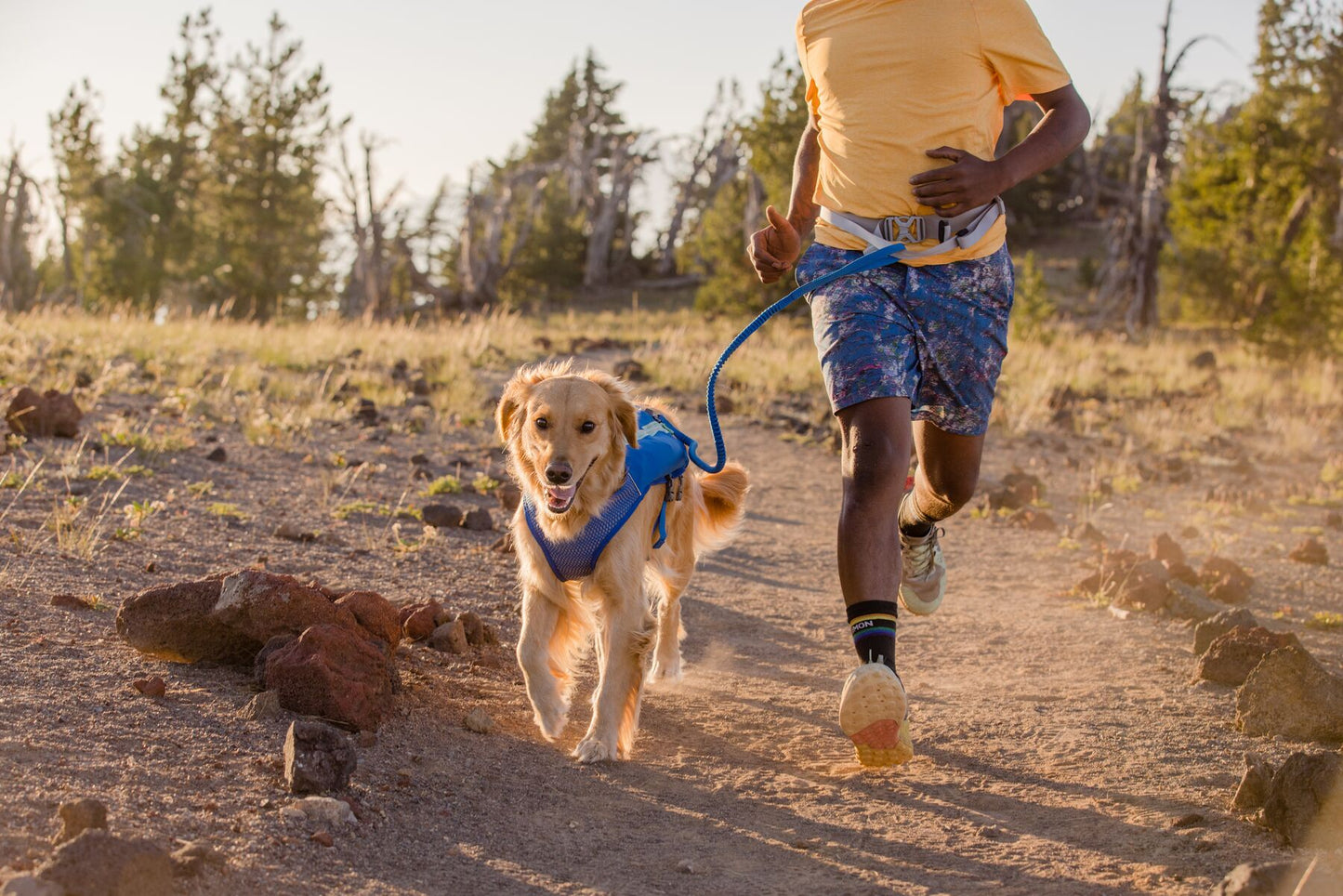 Ruffwear Trail Runner Running Belt