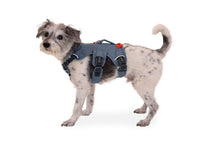 Load image into Gallery viewer, Ruffwear Web Master harness - three colours