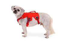 Load image into Gallery viewer, Ruffwear Web Master harness - three colours
